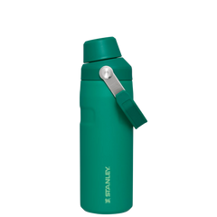 IceFlow™ Bottle with Fast Flow Lid | 16 OZ