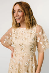 Arabella Embroidered Tulle Maxi Dress | Gold + White