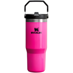 The Neon IceFlow™ Flip Straw Tumbler | 30 OZ - Stanley Create