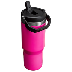 The Neon IceFlow™ Flip Straw Tumbler | 30 OZ - Stanley Create