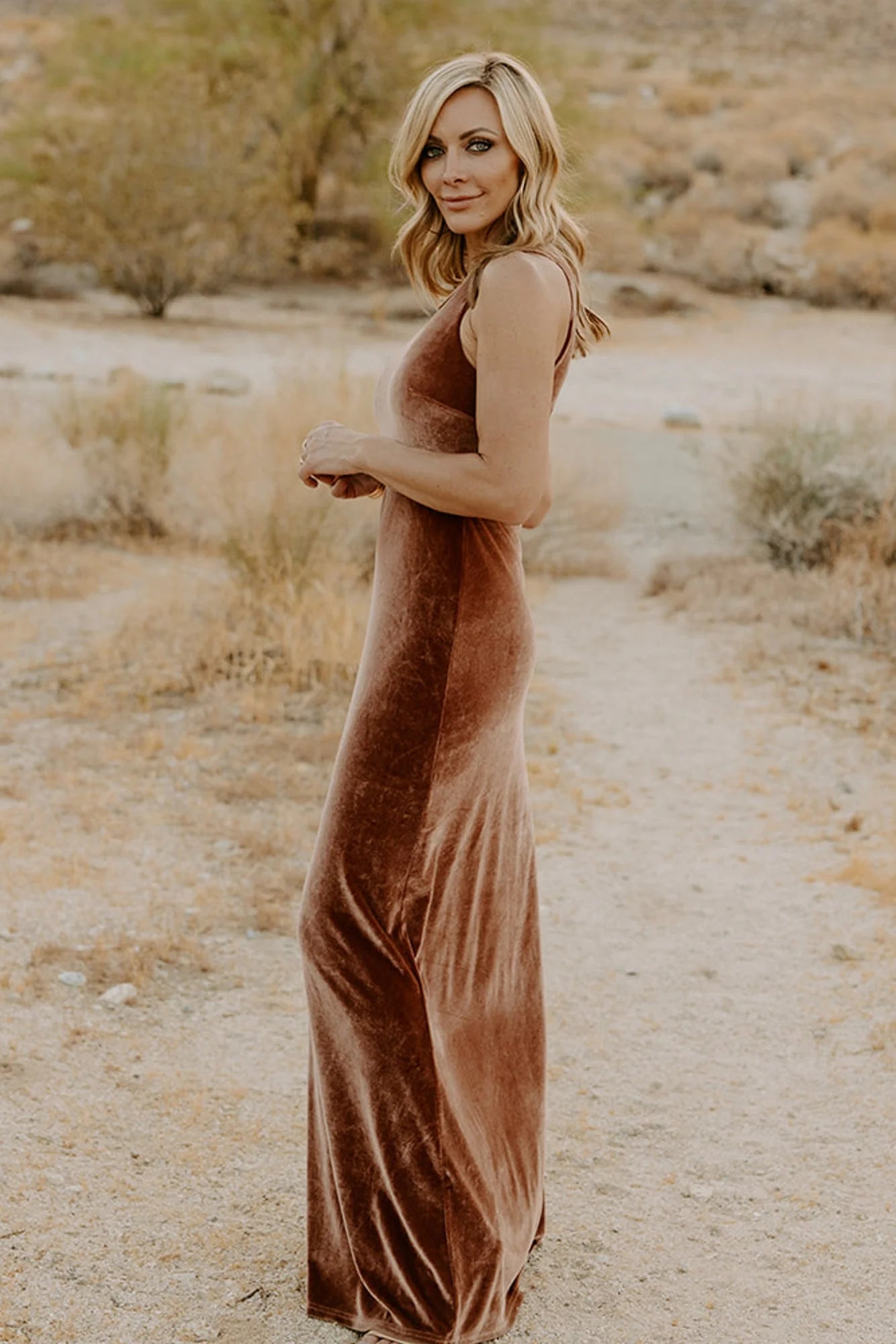 Tatiana Velvet One Shoulder Maxi Dress | Bronze