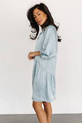 Janice Button Dress | Blue