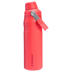 IceFlow™ Bottle with Fast Flow Lid | 24 OZ