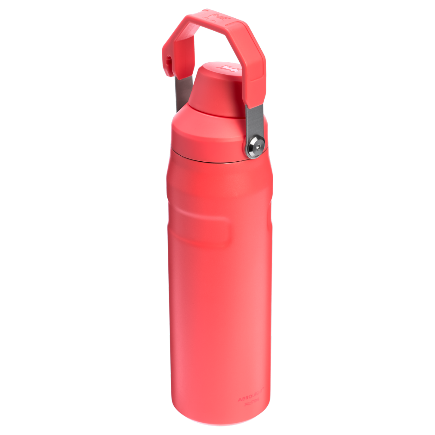 IceFlow™ Bottle with Fast Flow Lid | 24 OZ - Stanley Create