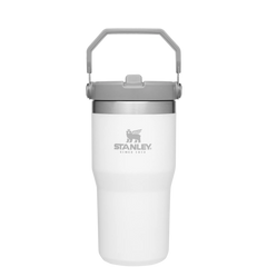 The IceFlow™ Flip Straw Tumbler | 20 OZ - Stanley Create